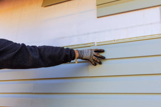 Best Siding for Commercial Buildings  in Bayou Vista, LA